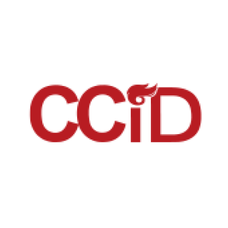 中国电子信息产业发展研究院